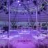 GRANADA LUXURY OKURCALAR    /ALANYA
